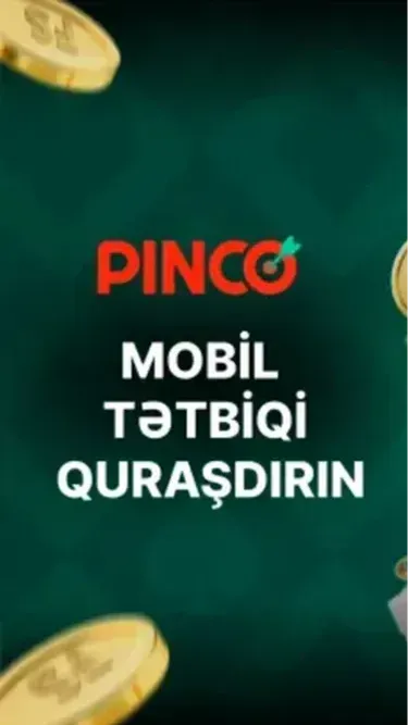Pinco Screenshot